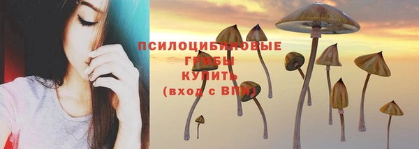 первитин Алексеевка