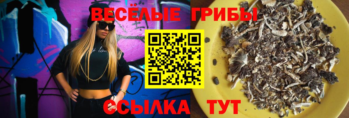 Узловая  Галлюциногенные грибы ЛСД  купить   Вход с VPN  Галлюциногенные грибы Psilocybine cubensis 