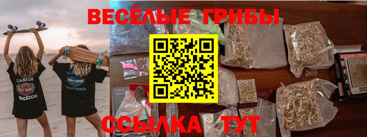 Галлюциногенные грибы Psilocybine cubensis Узловая